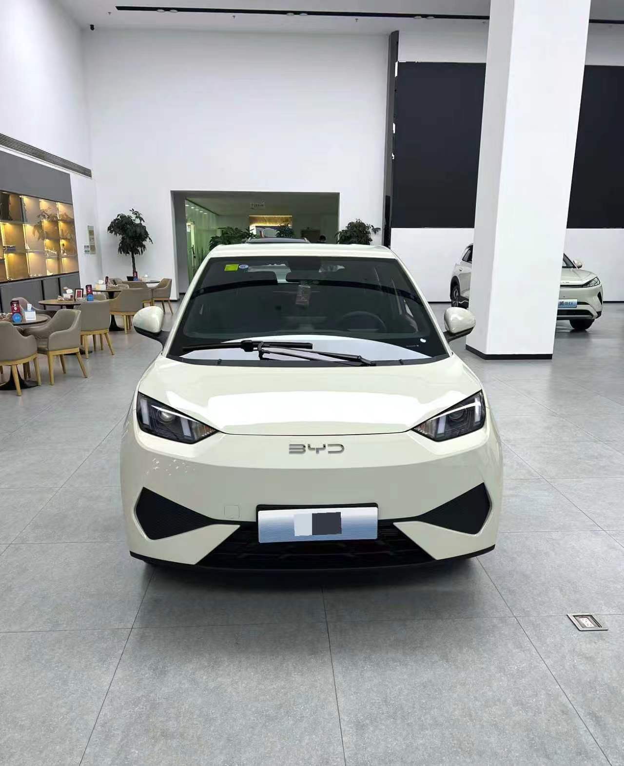BYD 2025 سيغول 305 كيلومتر إصدار أوتو (0758)