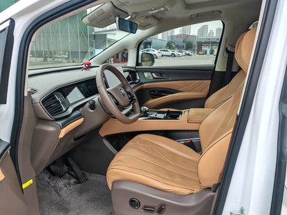 دينزا 2022 دينزا D9 EV 600 دفع رباعي نوع العلمية تلقائي
