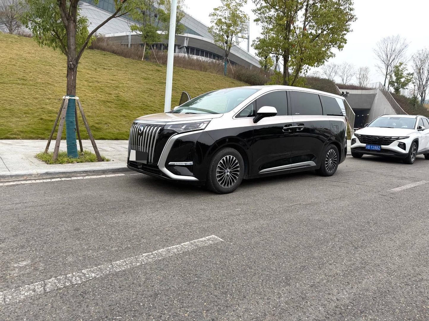 Denza 2022 Denza D9 EV 600 4WD Flagship Type Auto