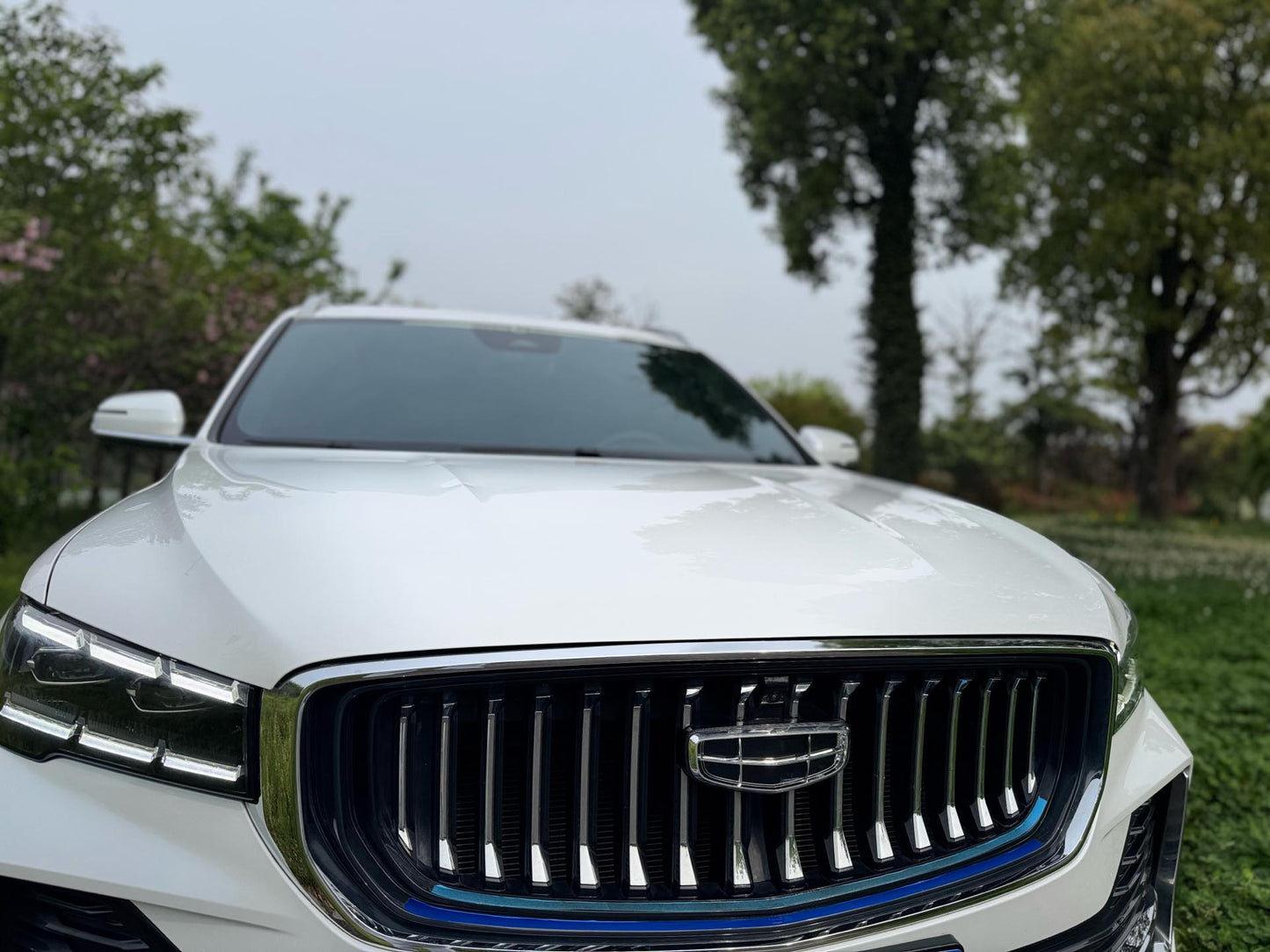 Geely 2021 Xingyue L 2.0TD EVO 2WD Smart Premium Type Auto