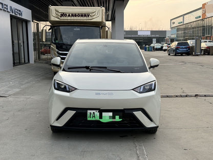海鸥 BYD 2023 海鸥活力版汽车