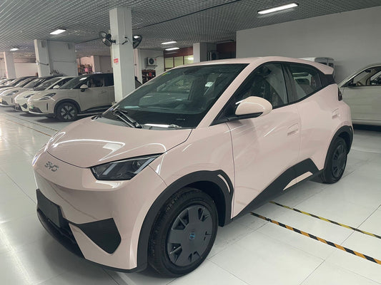 سيجول بي واي دي 2025 إصدار فيتاليتي 305 كم أوتوماتيك