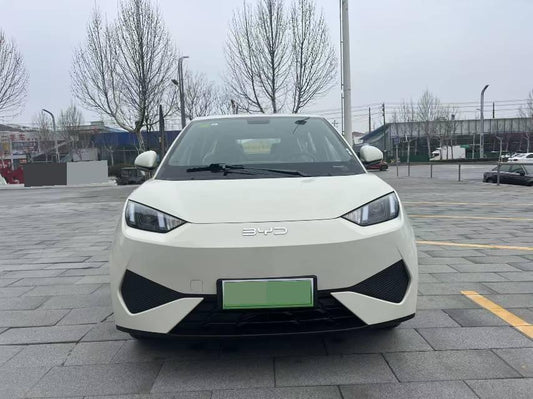 سيجول بي واي دي 2025 Seagull Smart Drive Edition 305km Vitality Edition Auto