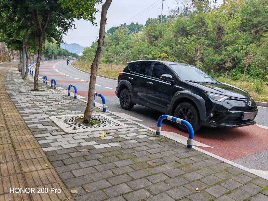 Toyota 2019 RAV4 2.0 2WD Pioneer Edition Auto