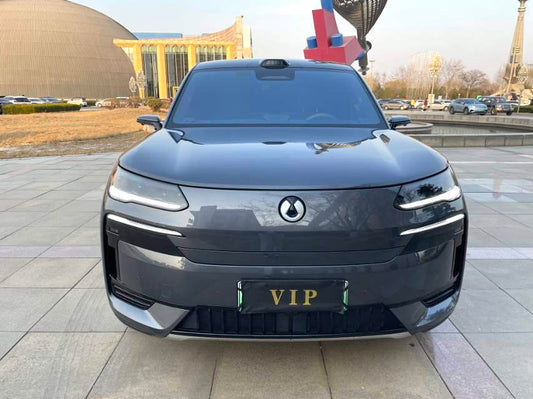 دينزا 2025 دينزا N9 2.0T 1300 نوع الرائد (4498)