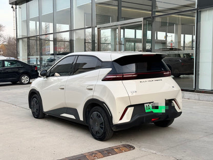 海鸥 BYD 2023 海鸥活力版汽车