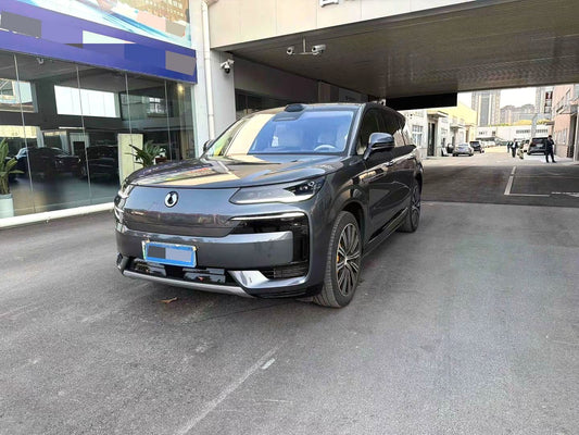 دينزا 2025 دينزا N9 2.0T 1300 فئة بريميوم (3898)