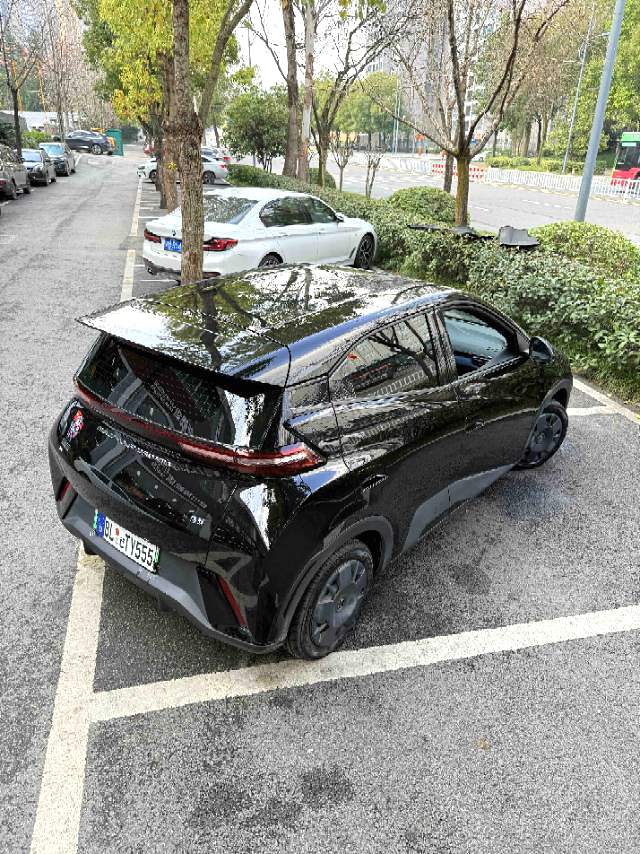 BYD 2023 Seagull Vitality Edition Auto
