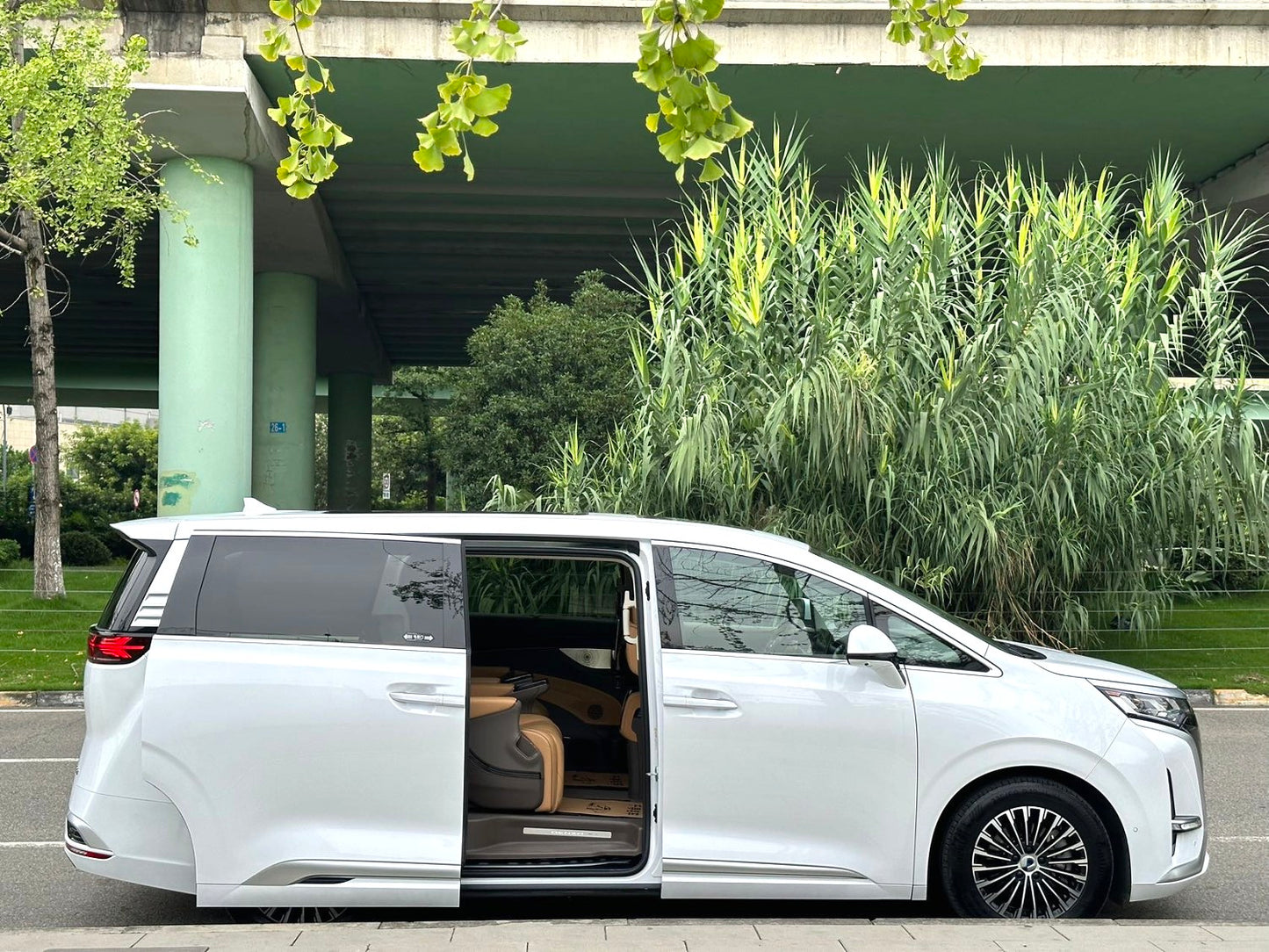 Denza 2022 Denza D9 EV 600 4WD Flagship Type Auto