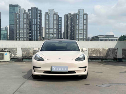 Tesla Model 3( )2019 Model 3 Long Range RWD Edition