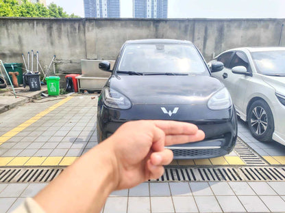 Wuling 2023 333km + Auto