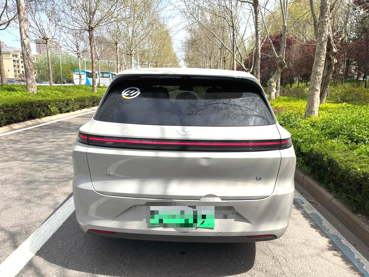 Li Auto 2024 L6 Pro Auto (2498)