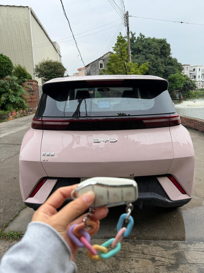 海鸥 BYD 2023 Seagull Edition Auto