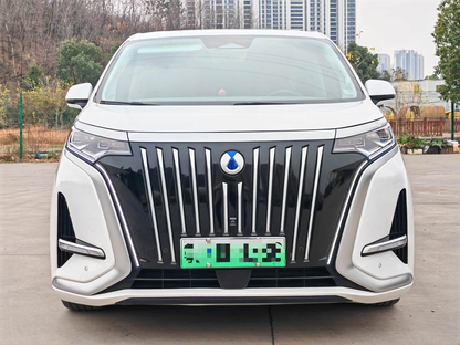 دينزا 2022 دينزا D9 EV 600 دفع رباعي نوع العلمية تلقائي