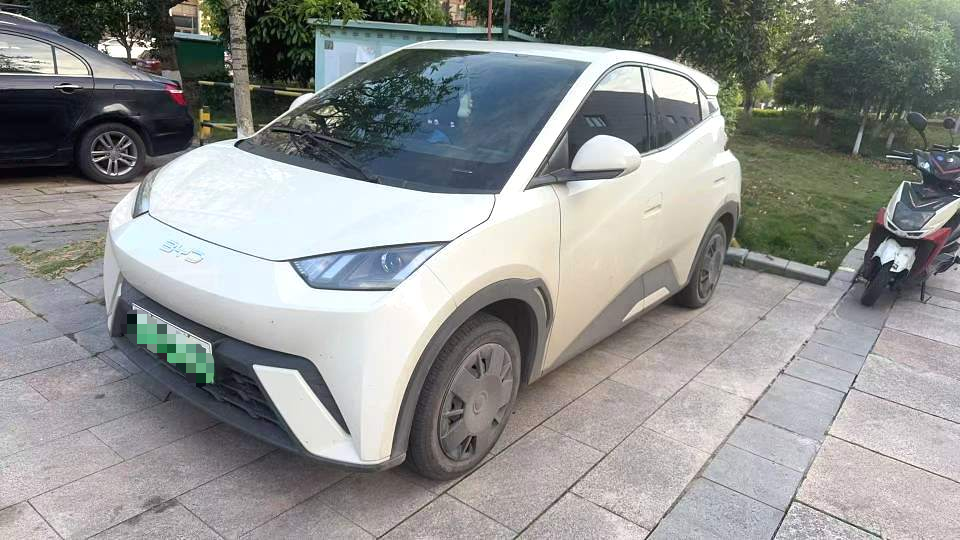 BYD 2025 Seagull 305km Vitality Edition Auto （0698）