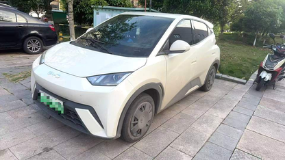 BYD 2025 Seagull 305km Vitality Edition Auto （0698）