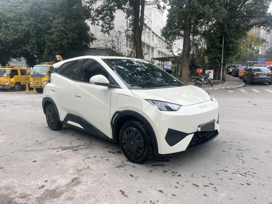 سيجول بي واي دي 2025 Seagull Smart Drive Edition 305km Vitality Edition Auto