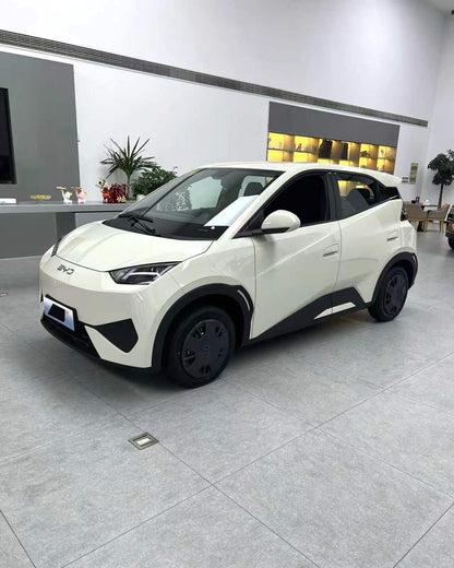 BYD 2025 سيغول 305 كيلومتر إصدار أوتو (0758)