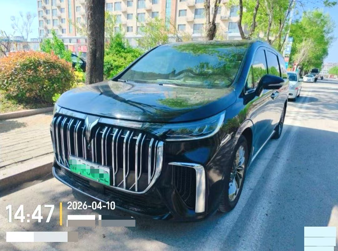 Voyah 2022 1.5T Edition + Smart Auto （4399）