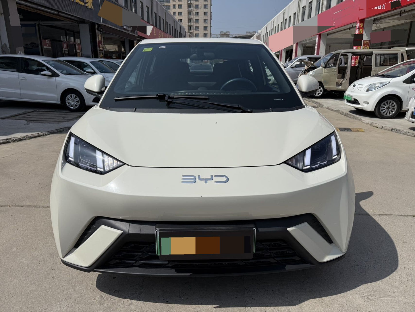 سيجول بي واي دي 2024 سيجول جلوري إيديشن نسخة 305 كم أوتوماتيك