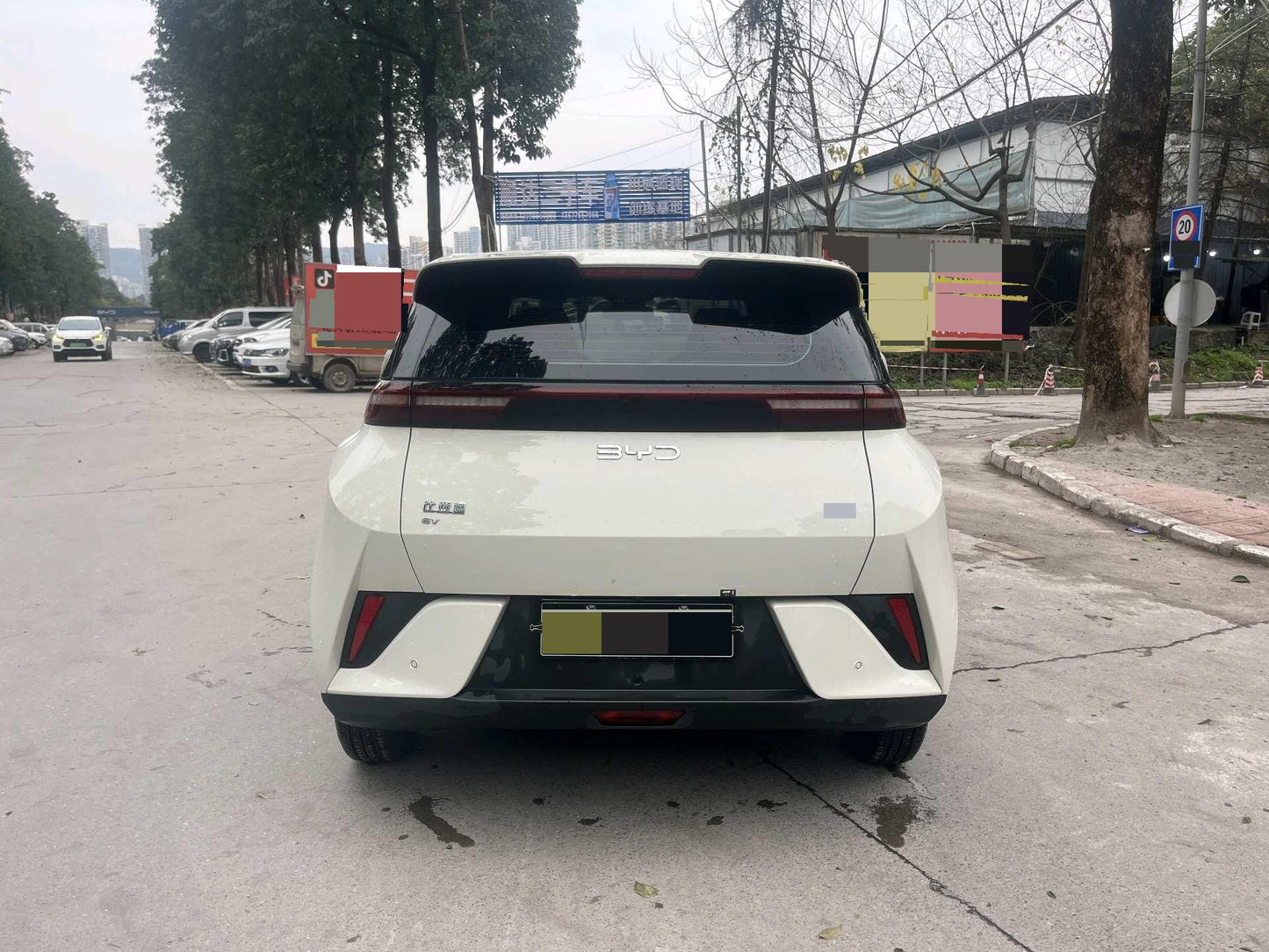 海鸥 BYD 2025 Seagull Smart Drive Edition 305km Vitality Edition Auto