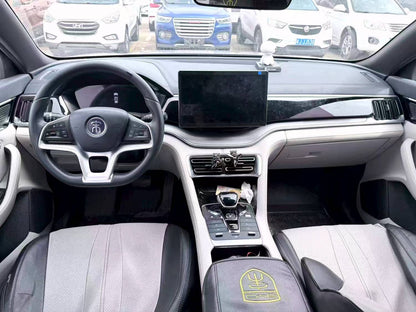 BYD 2021 Song PLUS EV Flagship Type Auto （1868）