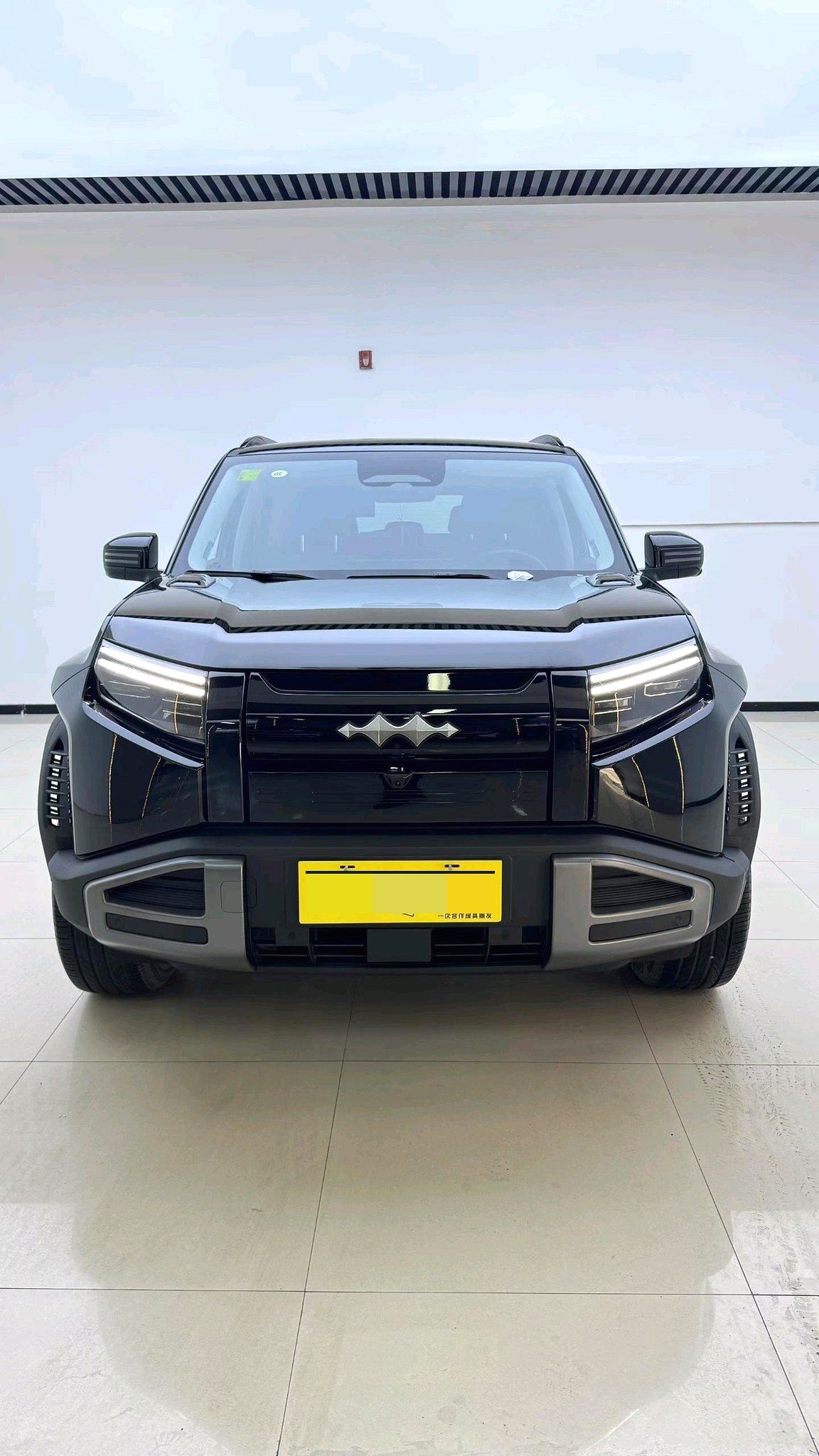 فانغ تشينغ باو 2025 3 501 كم دفع رباعي (4WD) قيادة ذكية إصدار ألترا أوتوماتيك (1638)
