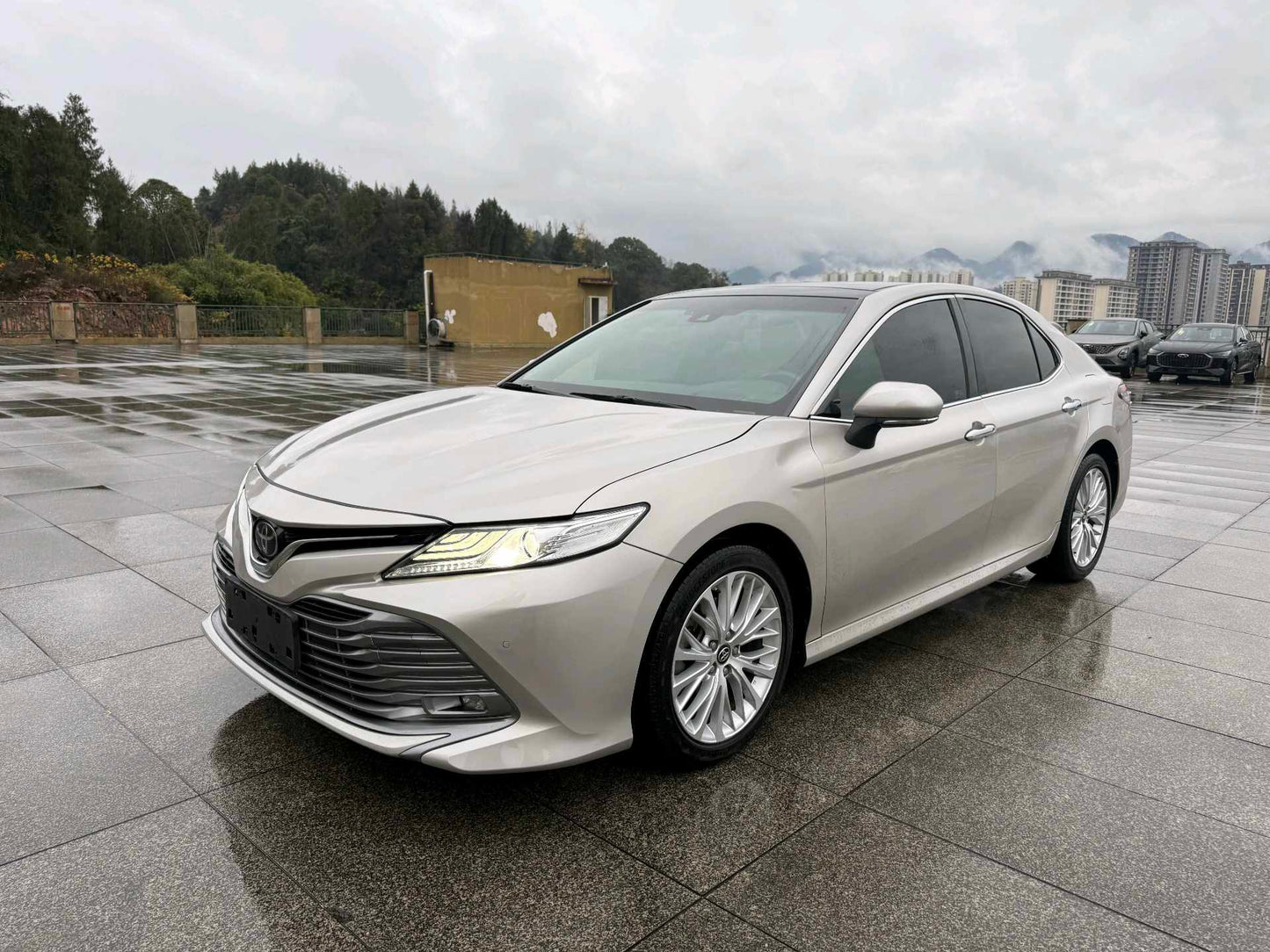 凯美瑞 Toyota 2019 2.5G Luxury Edition Auto
