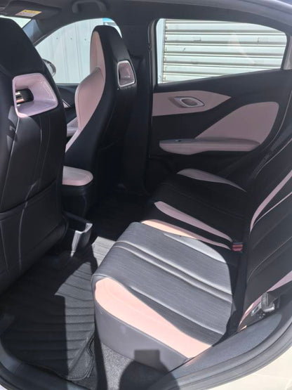 海鸥 BYD 2023 Seagull Edition Auto