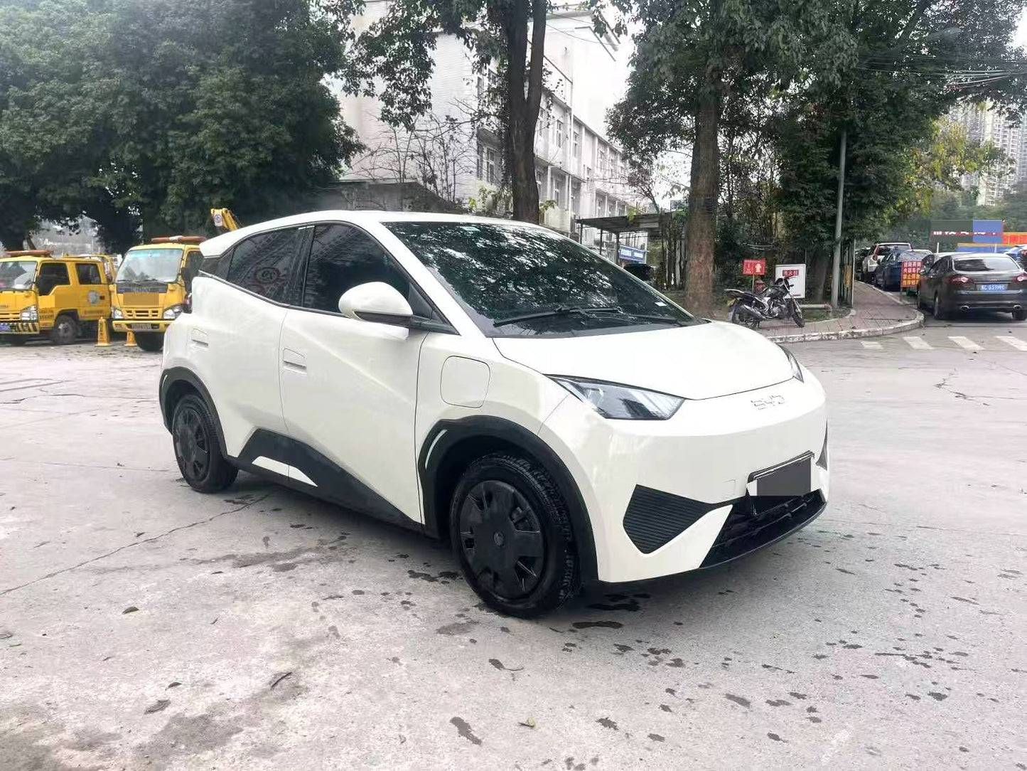 BYD 2025 Seagull Smart Drive Edition 305km Vitality Edition Auto （0698）