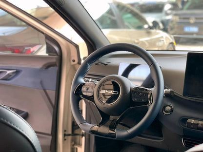 BYD 2023 Seagull Edition Auto