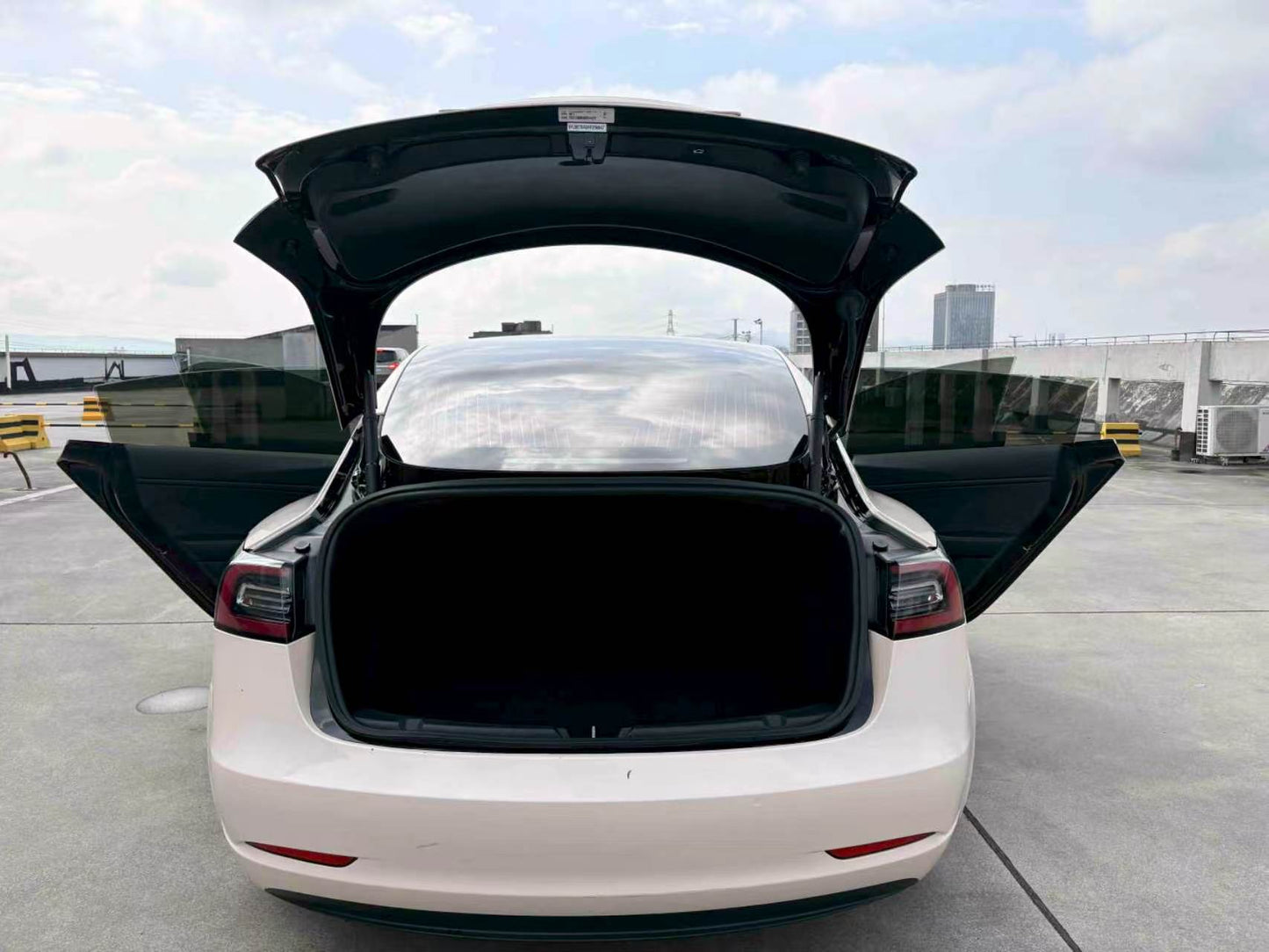 Tesla Model 3( )2019 Model 3 Long Range RWD Edition