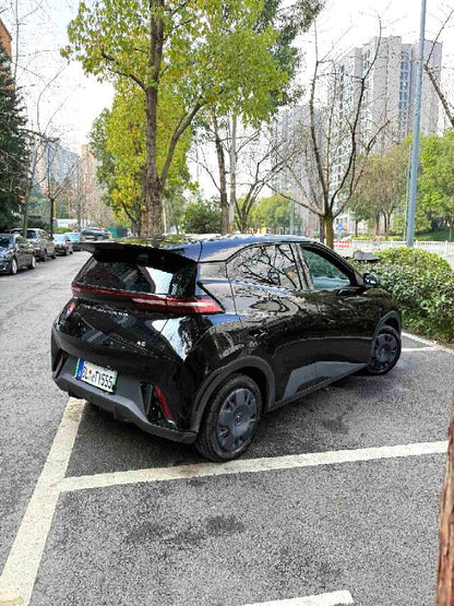 BYD 2023 Seagull Vitality Edition Auto