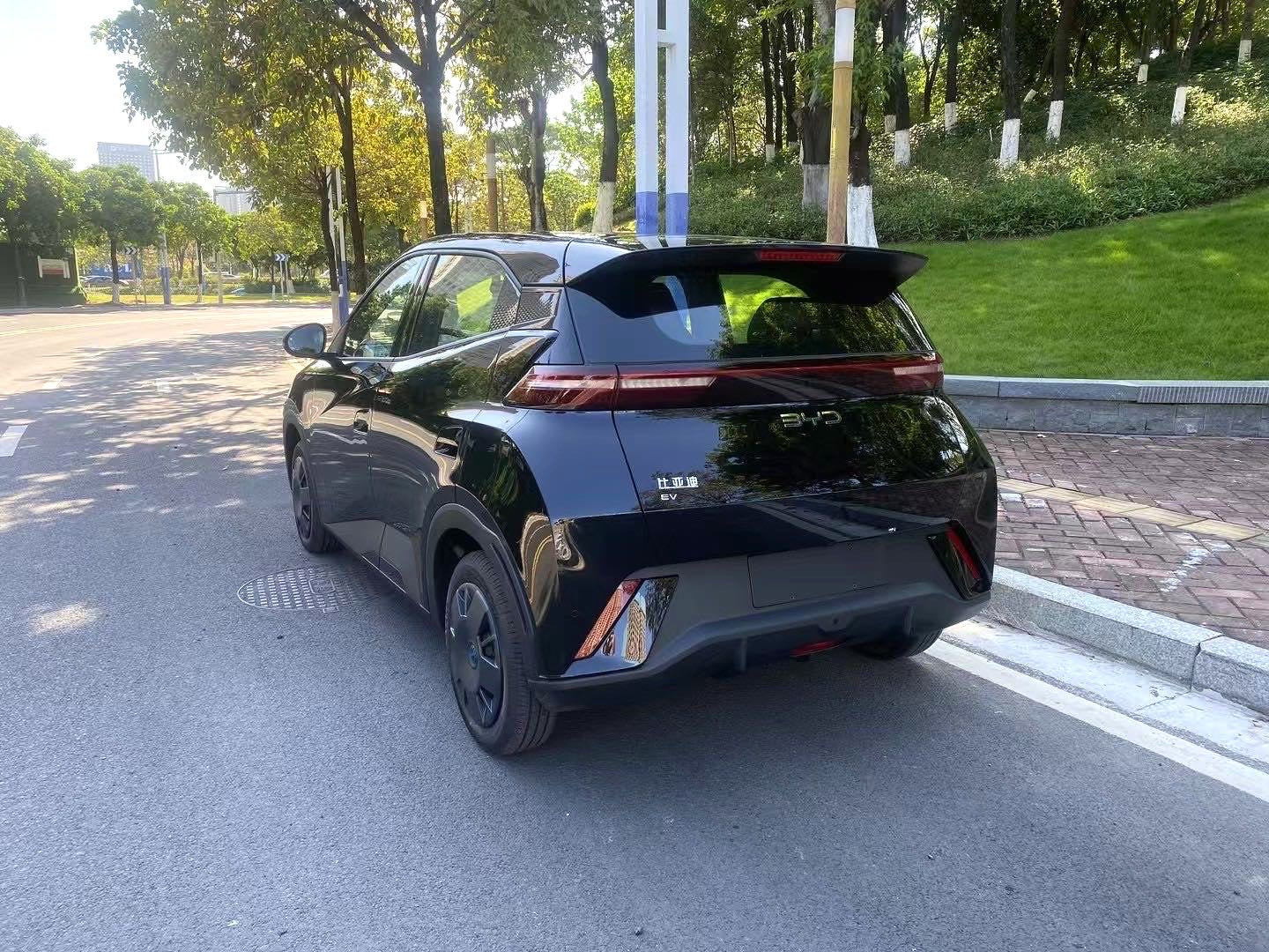 海鸥 比亚迪 2024 海鸥荣耀版 305km 活力版 汽车